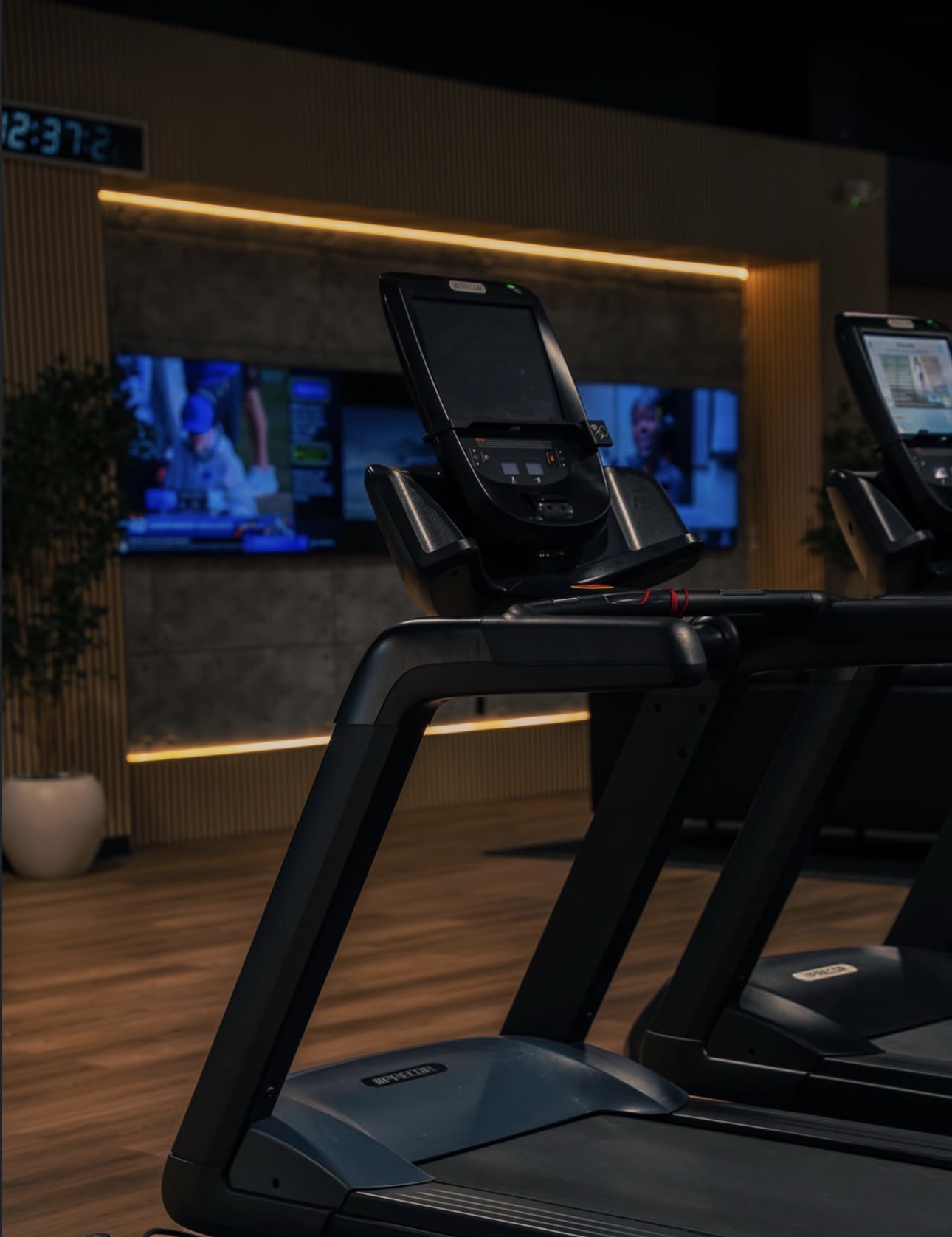 Treadmills on the South Congress cardio floor under warm lighting