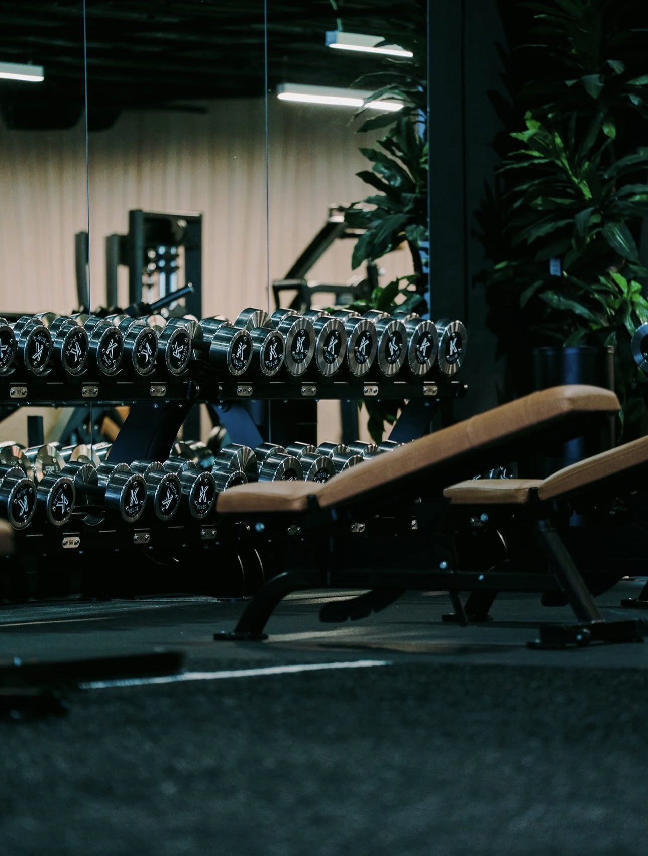 Dumbbell rack on the training floor